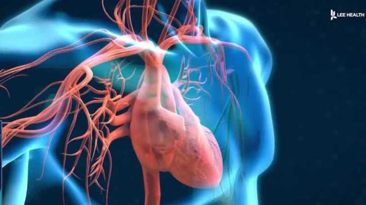 High-level heart health care here on the Gulf Coast